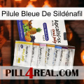 Pilule Bleue De Sildénafil 11